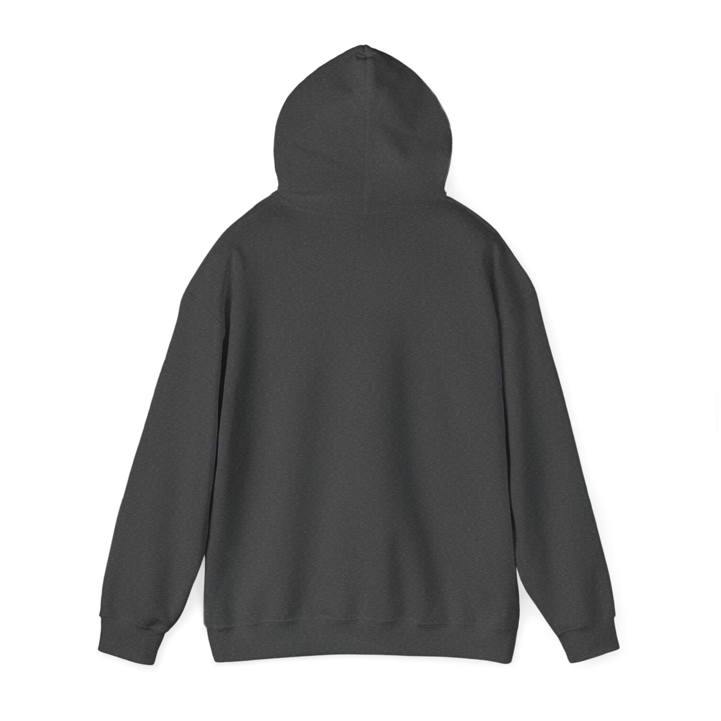 Hoodie neuroatypique